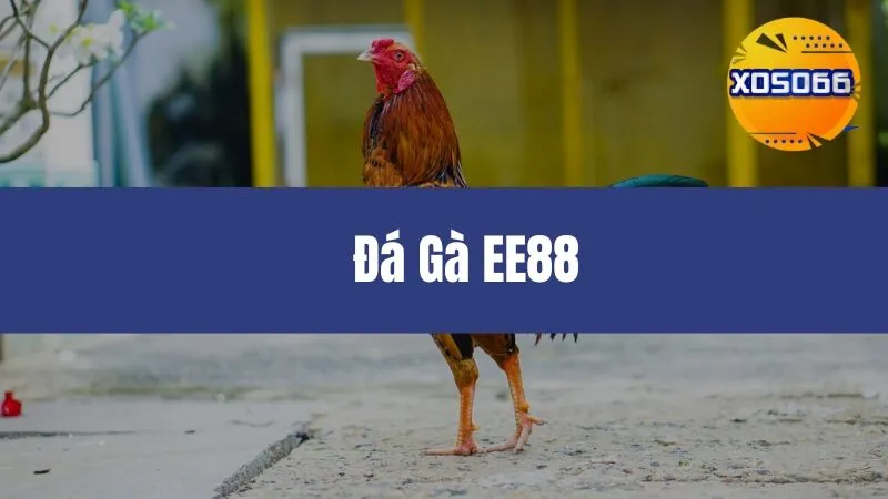 Đá Gà EE88