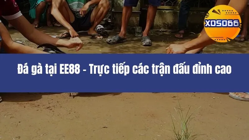 Đá Gà EE88